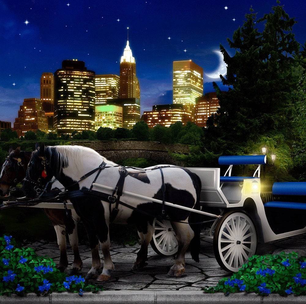 Central Park Carriage Photo Backdrop - Basic 10  x 8  