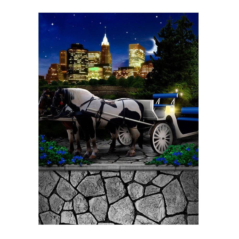 Central Park Carriage Photo Backdrop - Basic 6  x 8  