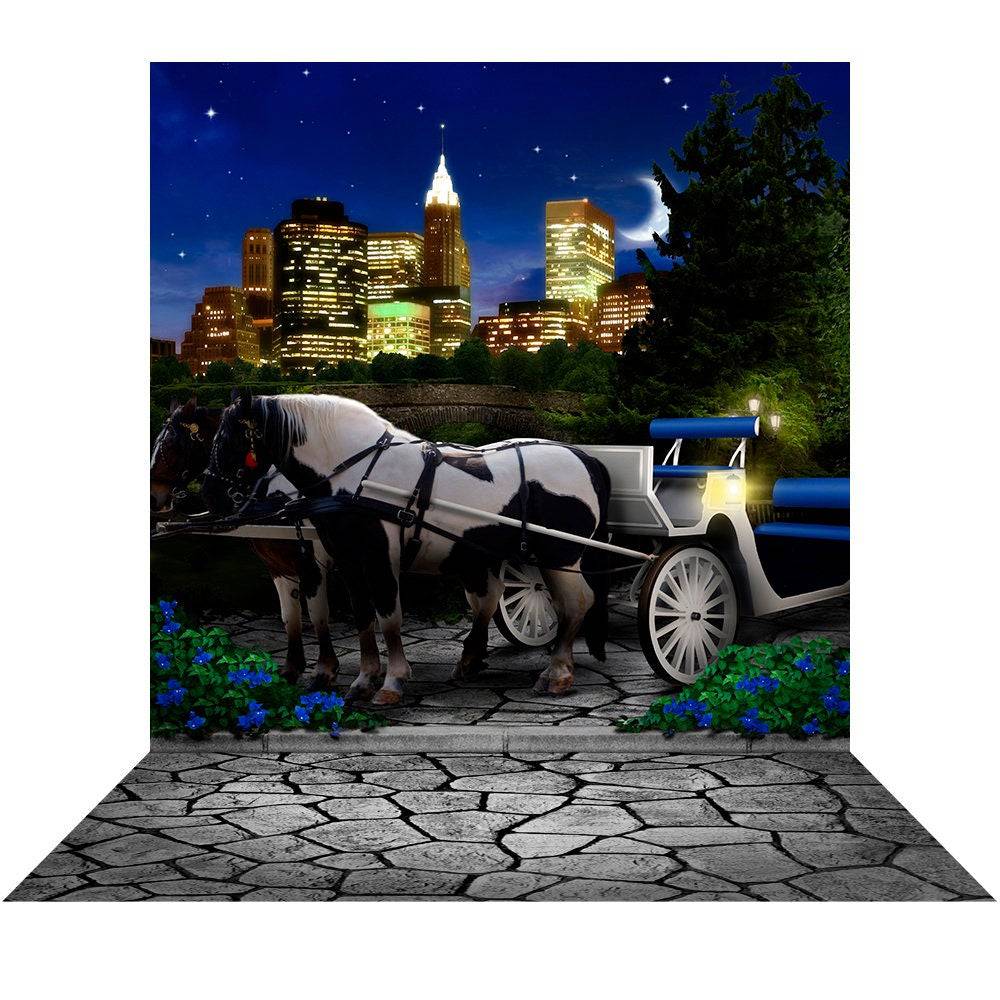 Central Park Carriage Photo Backdrop - Basic 8  x 16  