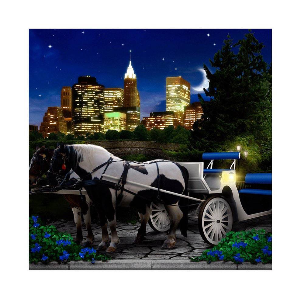 Central Park Carriage Photo Backdrop - Basic 8  x 8  