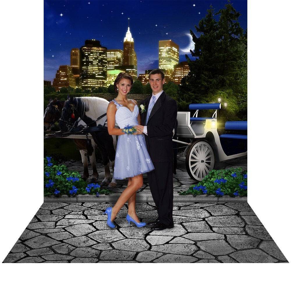 Central Park Carriage Photo Backdrop