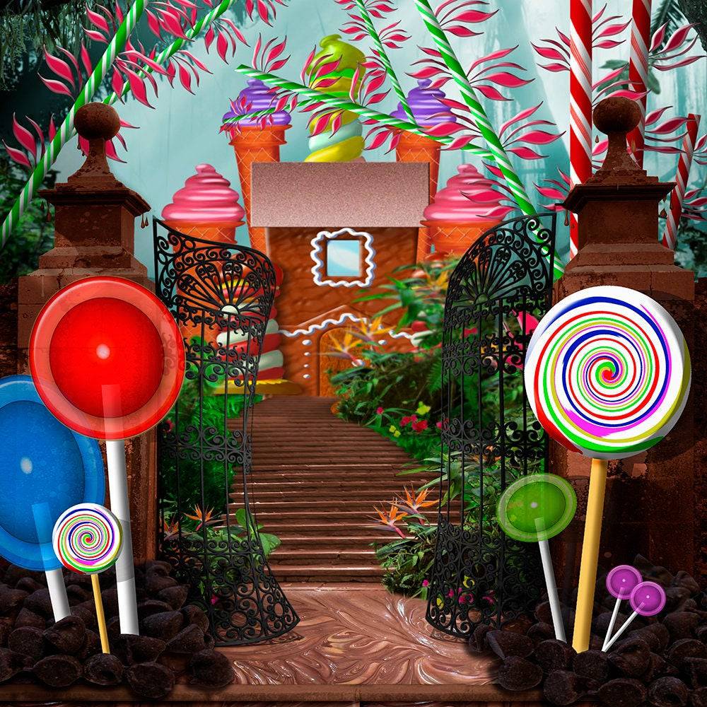 Candy Factory Photography Backdrop - Pro 10  x 8  