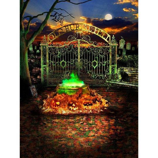 Hocus Pocus Halloween Horror Party Photography Background - Basic 8  x 10  