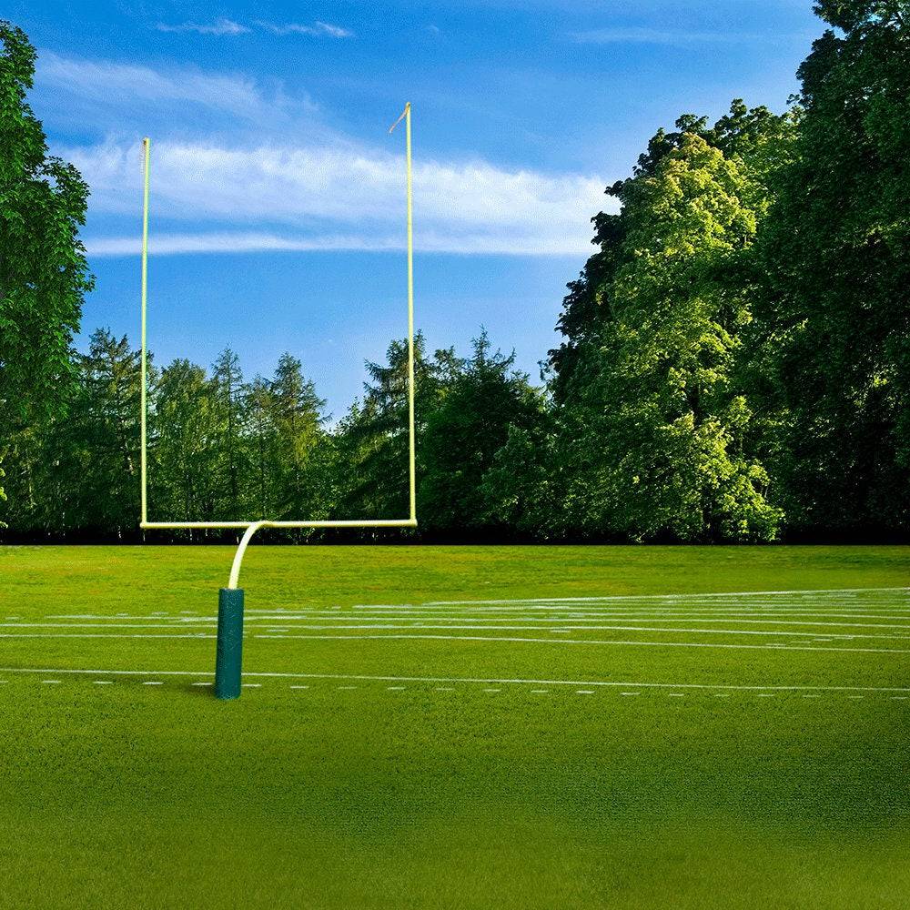 High School Football Field Backdrop - Pro 10  x 10  