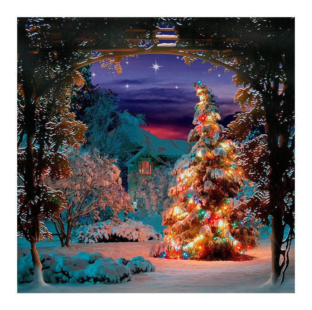 Silent Night Photography Backdrop - Basic 8  x 8  