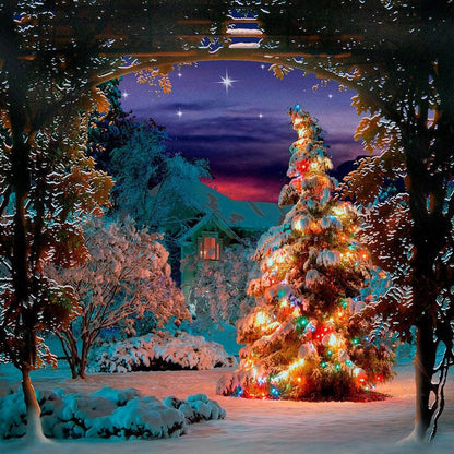 Silent Night Photography Backdrop - Pro 10  x 10  