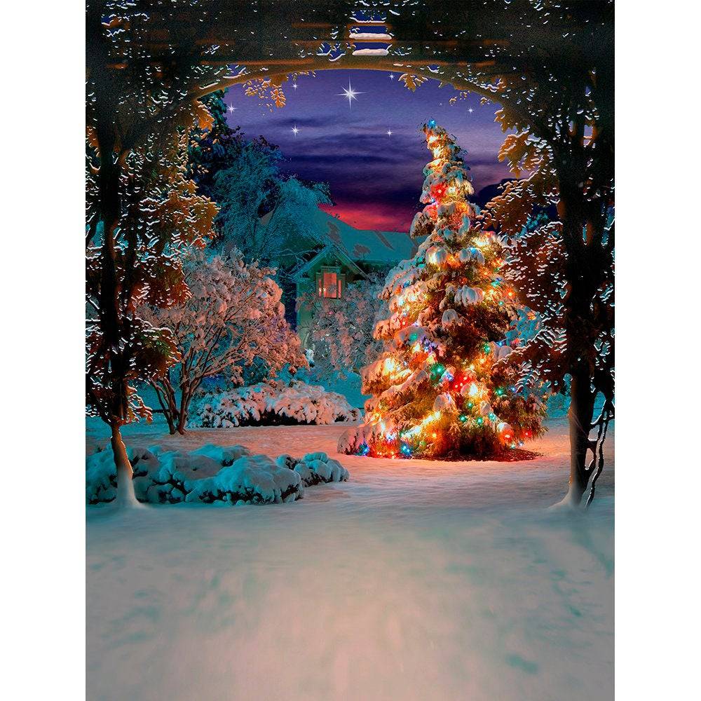 Silent Night Photography Backdrop - Pro 8  x 10  