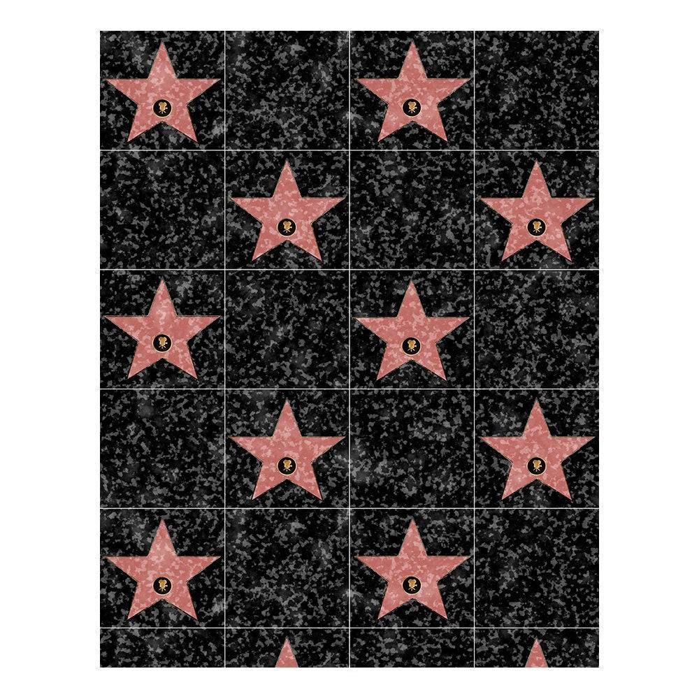 Hollywood Walk of Fame Photography Background - Basic 8  x 10  