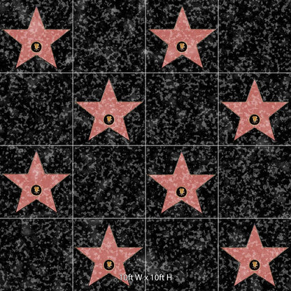 Hollywood Walk of Fame Photography Background - Pro 10  x 10  