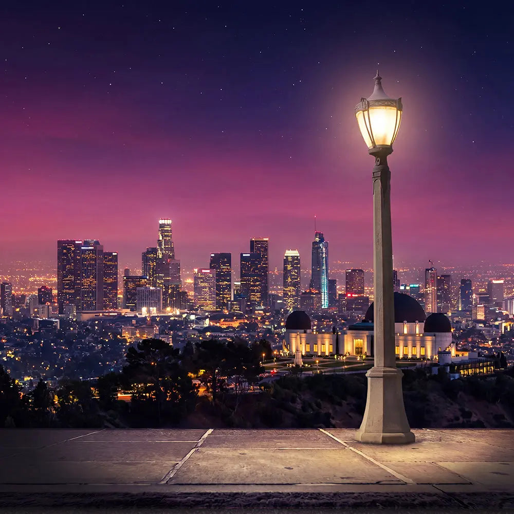 La La Land Backdrop, Movie Photo Banner, Los Angeles Themed Fabric Decor Alba Backgrounds
