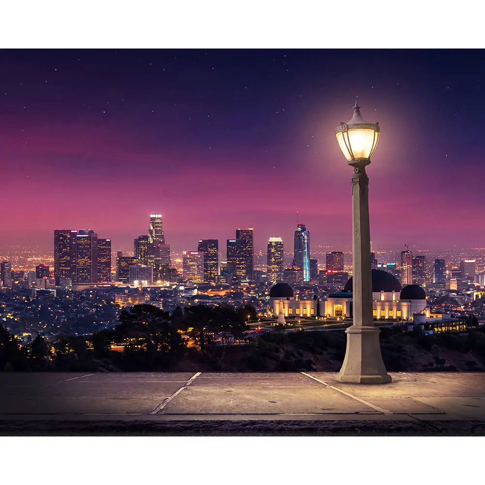 La La Land Backdrop, Movie Photo Banner, Los Angeles Themed Fabric Decor Alba Backgrounds