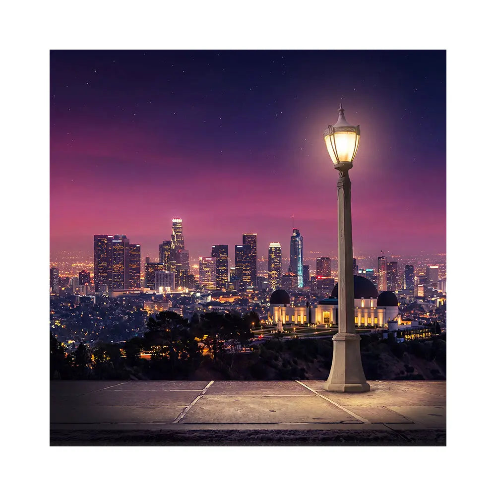La La Land Backdrop, Movie Photo Banner, Los Angeles Themed Fabric Decor Alba Backgrounds