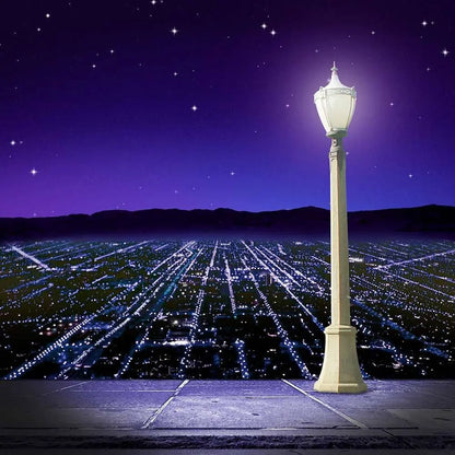 City At Night Photography Backdrop - Basic 10  x 8  