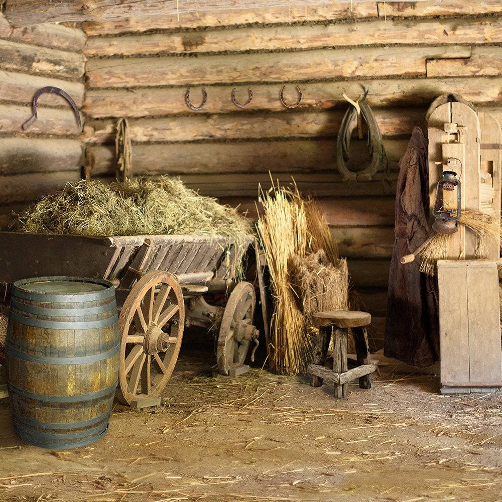 Rustic Barn Country Western Photo Backdrop - Pro 10  x 8  