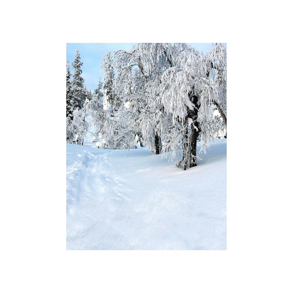 Winter Snow Day Photography Backdrop - Basic 4.4  x 5  
