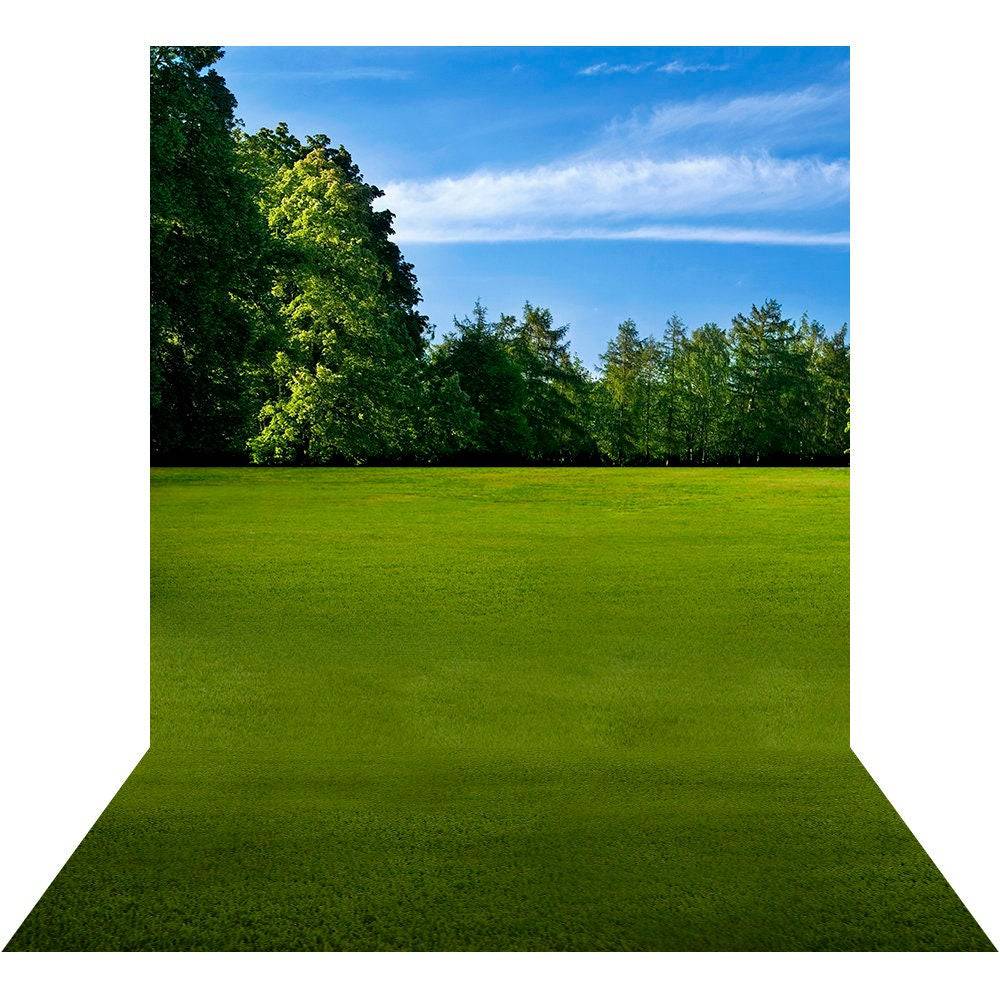 Sports Park Photo Backdrop - Basic 8  x 16  