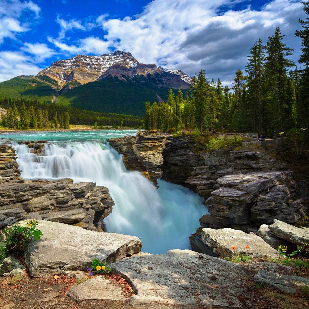 The Great Outdoors Photo Backdrop - Basic 10  x 8  