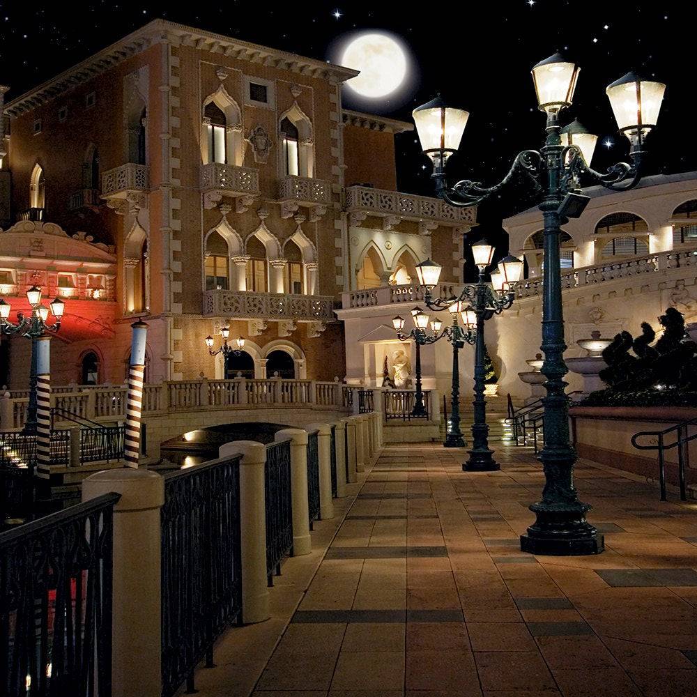 Venice Italy City At Night Photo Backdrop - Pro 10  x 10  