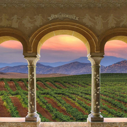 Wine Country Vineyard Columns Photography Backdrop - Basic 10  x 8  