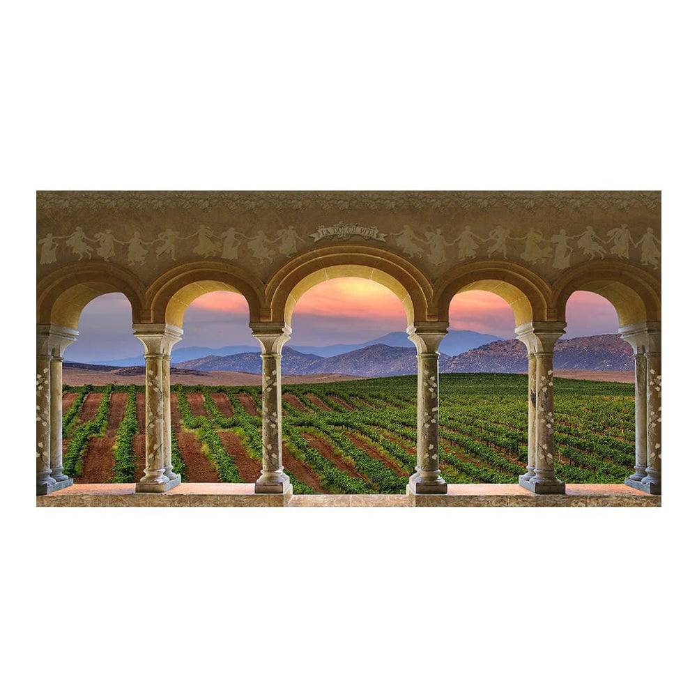 Wine Country Vineyard Columns Photography Backdrop - Basic 16  x 8  