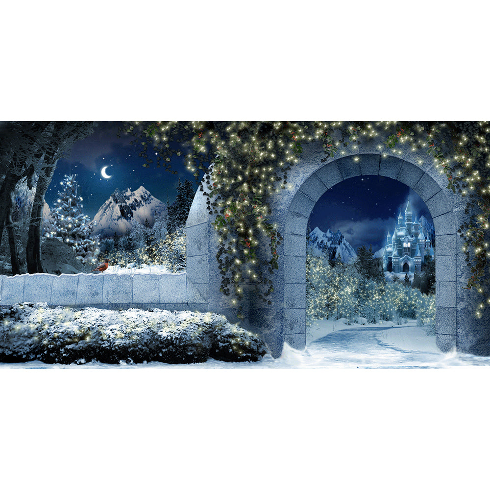 Winter Castle, Wide Fabric Backdrop