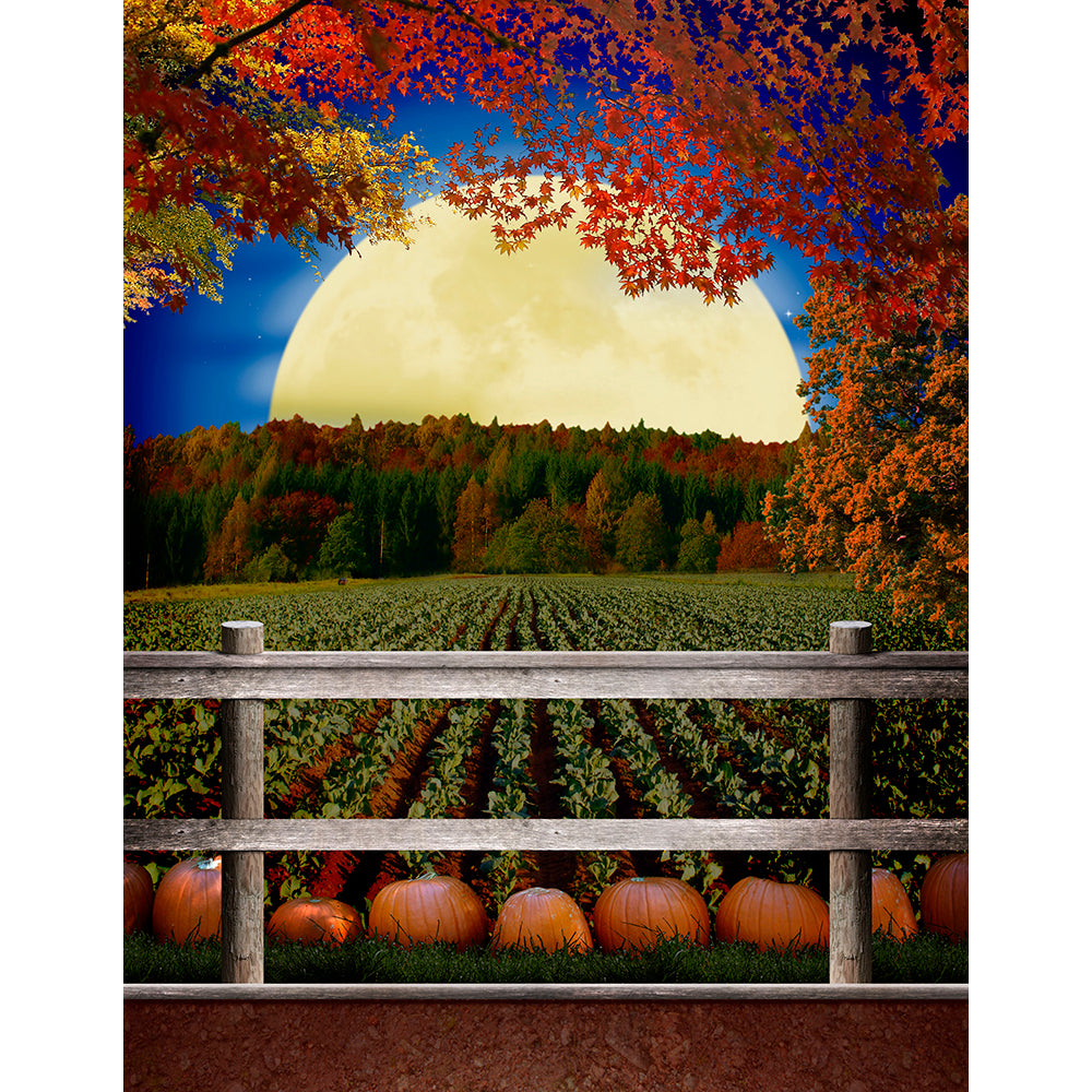 Pumpkin Patch Backdrop