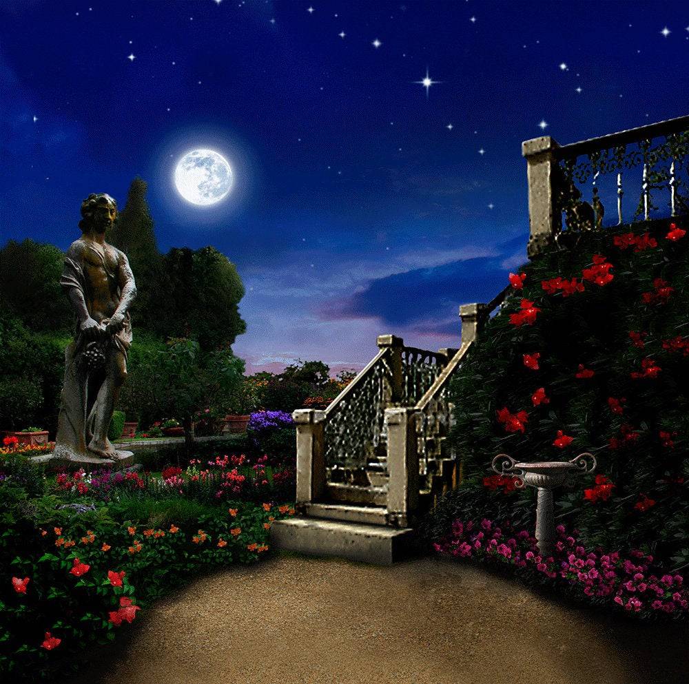 A Midsummer Nights Dream Shakespeare Photo Backdrop - Pro 10  x 10  
