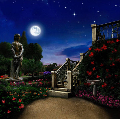 A Midsummer Nights Dream Shakespeare Photo Backdrop - Pro 10  x 8  