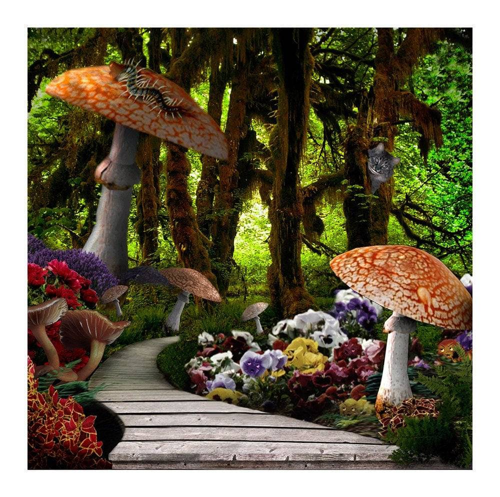 Alice in Wonderland Wood Path Photo Backdrop - Basic 8  x 8  