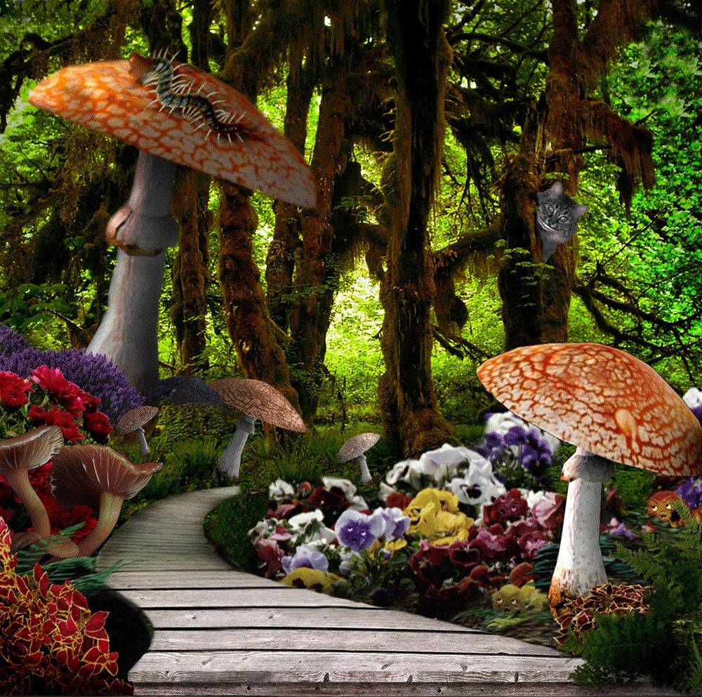 Alice in Wonderland Wood Path Photo Backdrop - Pro 10  x 10  
