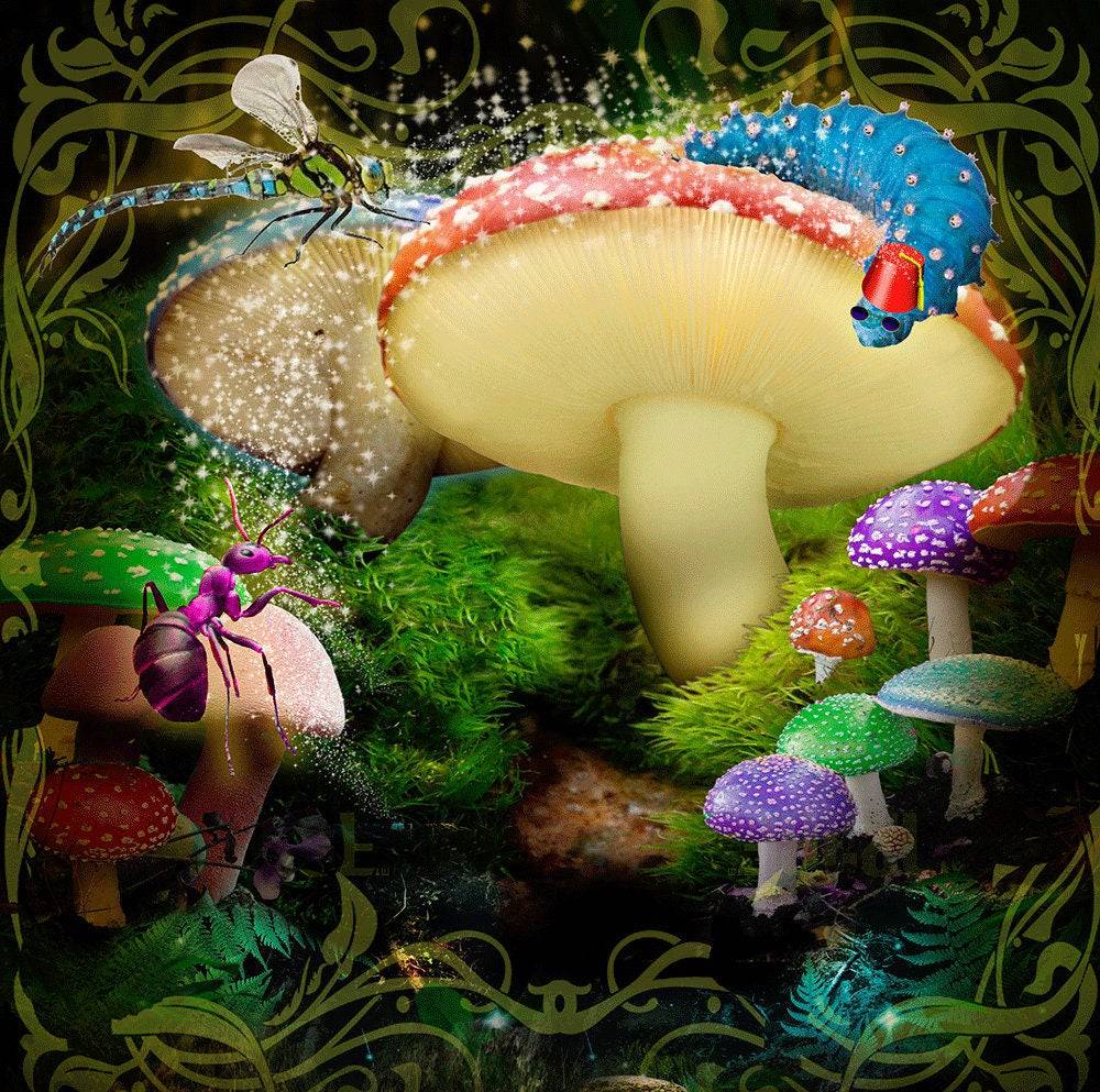 Alice in Wonderland Woods Photo Backdrop Backgrounds - Basic 8 x 16