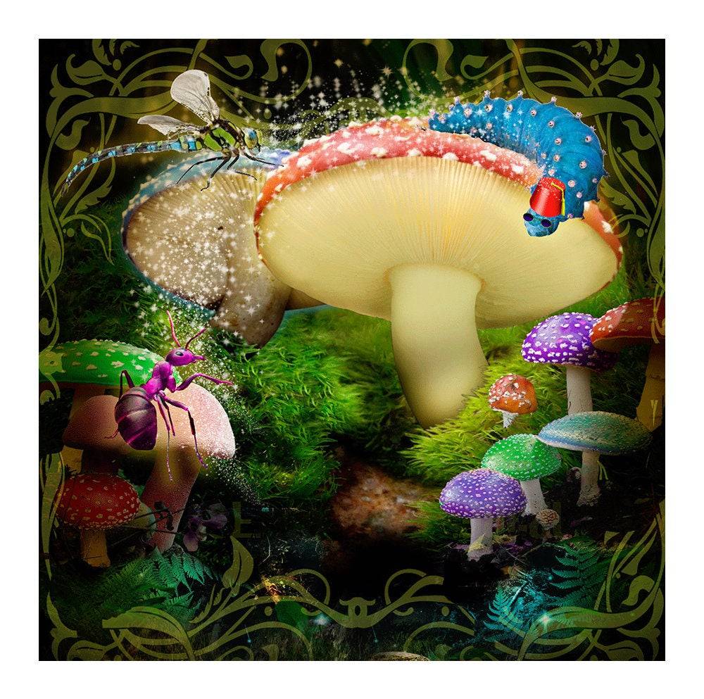 Alice in Wonderland Woods Photo Backdrop Backgrounds - Pro 8 x 8