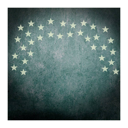 American Flag Stars and Stripes Photo Background - Basic 8  x 8  