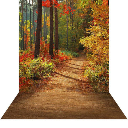 Forest In Fall Photo Backdrop - Basic 8  x 16  
