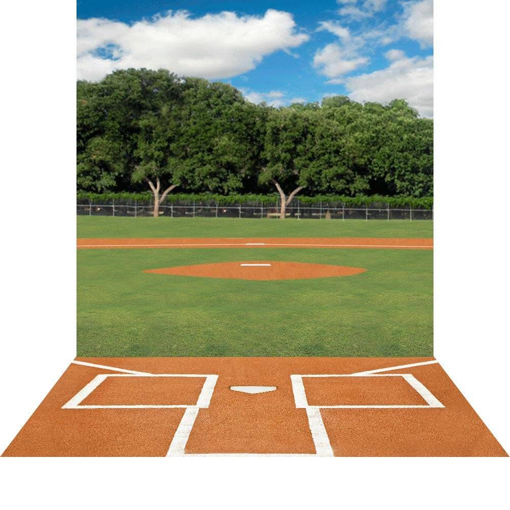 baseball field home plate view