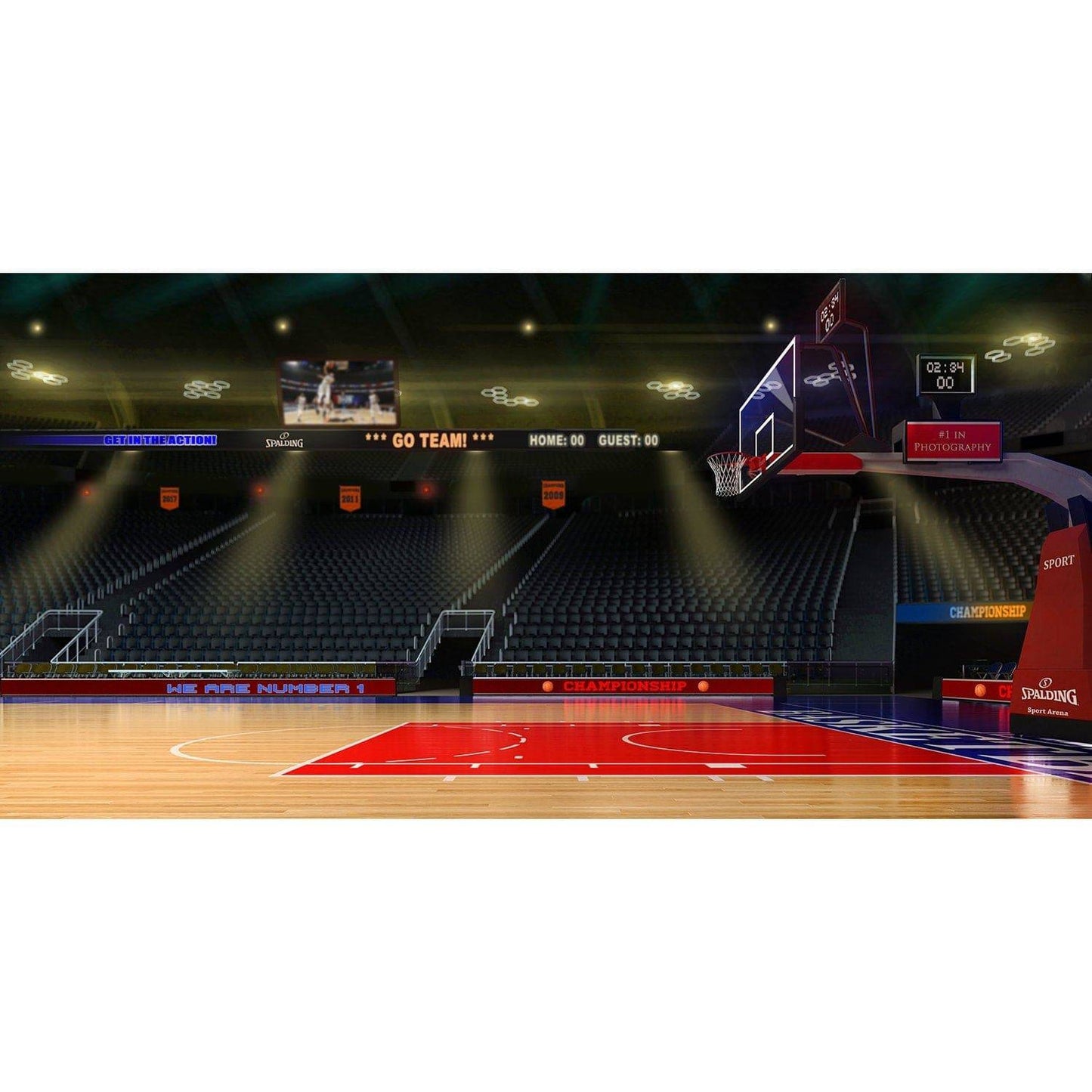 NBA Basketball Court Backdrop - Pro 20  x 10  