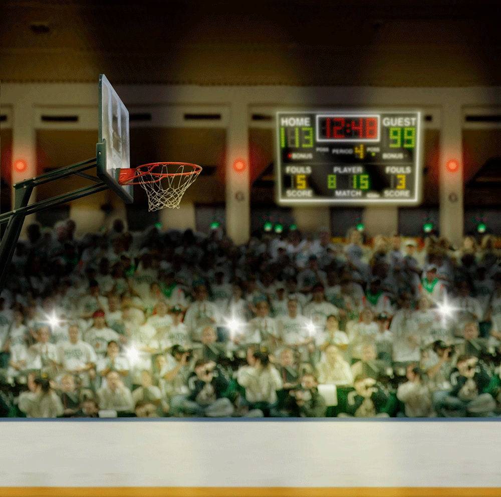 Playoffs Basketball Stadium Photo Backdrop - Pro 10  x 10  