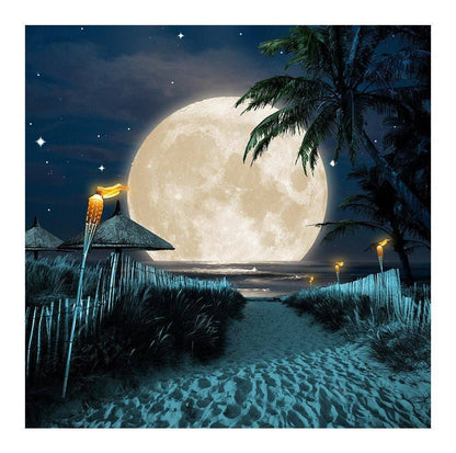 Night Time Full Moon Beach Luau Photo Backdrop - Pro 8  x 8  