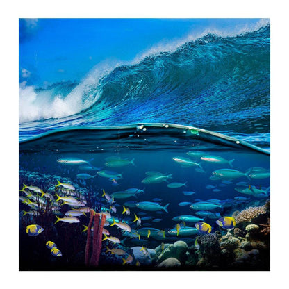 Fish Under The Sea Photo Backdrop - Basic 8  x 8  