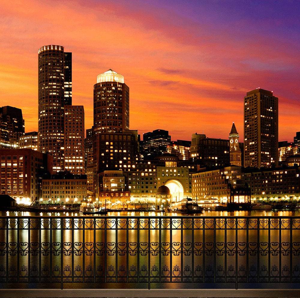 Boston City Skyline Photography Backdrop - Pro 10  x 8  