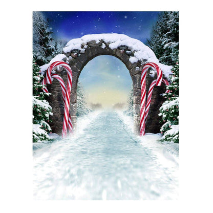 Winter Fantasy Candy Cane Archway Photo Backdrop - Basic 6  x 8  