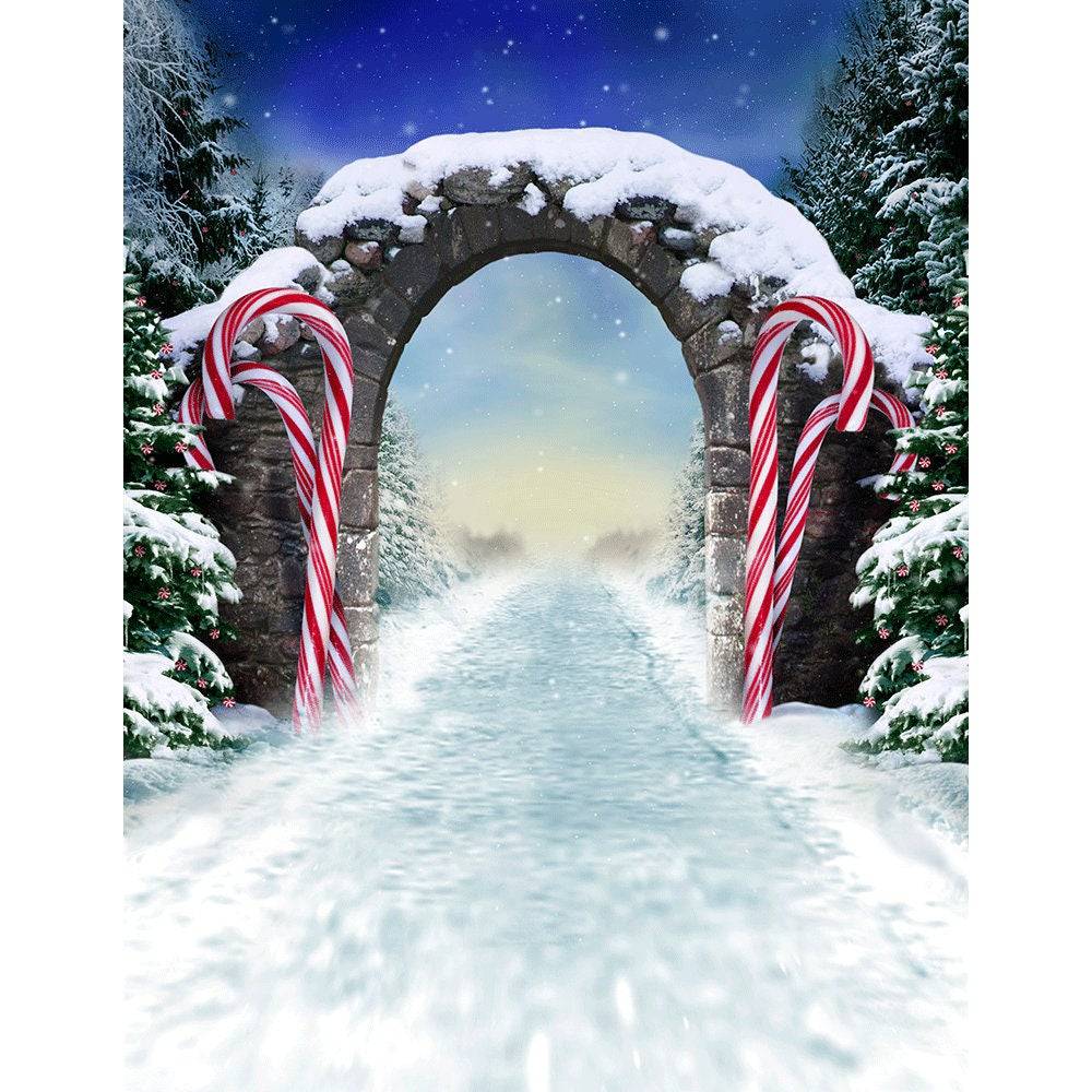 Winter Fantasy Candy Cane Archway Photo Backdrop - Basic 8  x 10  