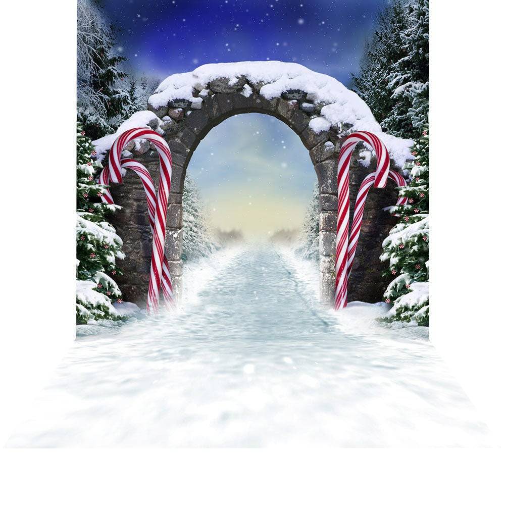 Winter Fantasy Candy Cane Archway Photo Backdrop - Basic 8  x 16  