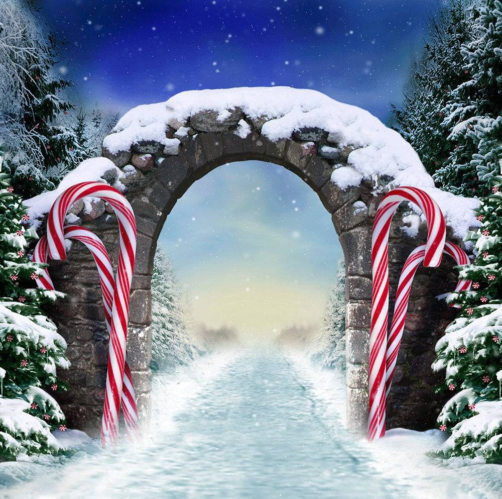 Winter Fantasy Candy Cane Archway Photo Backdrop - Pro 10  x 10  