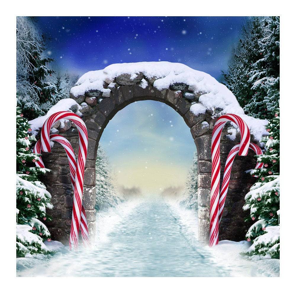 Winter Fantasy Candy Cane Archway Photo Backdrop - Pro 8  x 8  