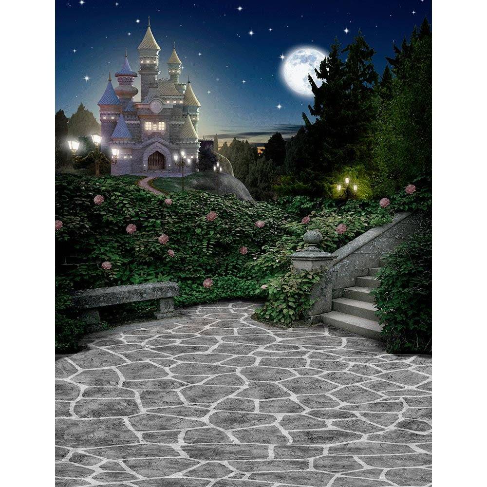Castle in Magic Kingdom Photography Backdrop - Basic 8  x 10  