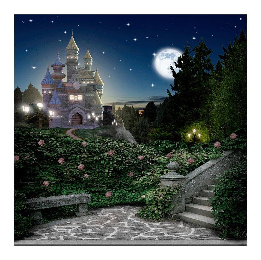 Castle in Magic Kingdom Photography Backdrop - Basic 8  x 8  