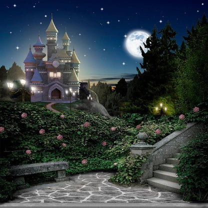 Castle in Magic Kingdom Photography Backdrop - Pro 10  x 10  