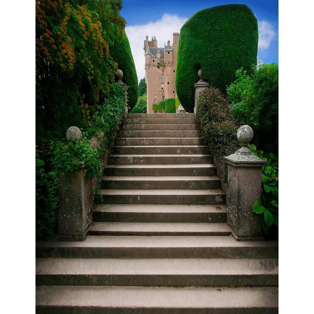 Steps to the Kingdom Castle - Basic 8  x 10  