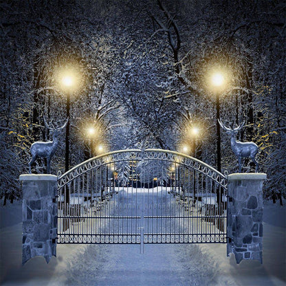 Enchanted White Winter Drive Photo Backdrop - Basic 10  x 8  